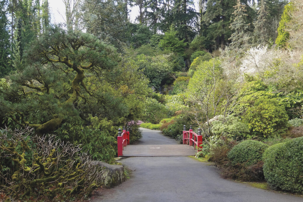 Kubota Garden Foundation. Photo courtesy of KUBOTA GARDEN FOUNDATION.