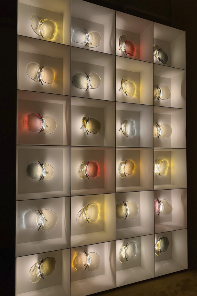 Bocci: Light as Medium