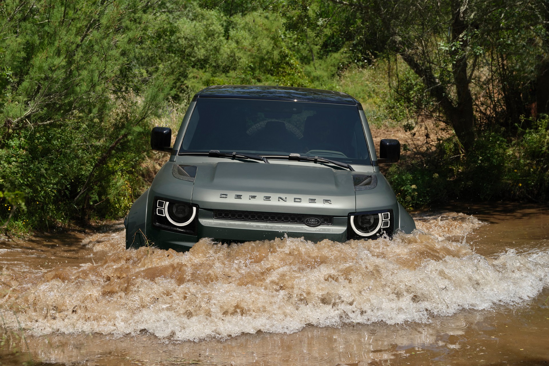 defender