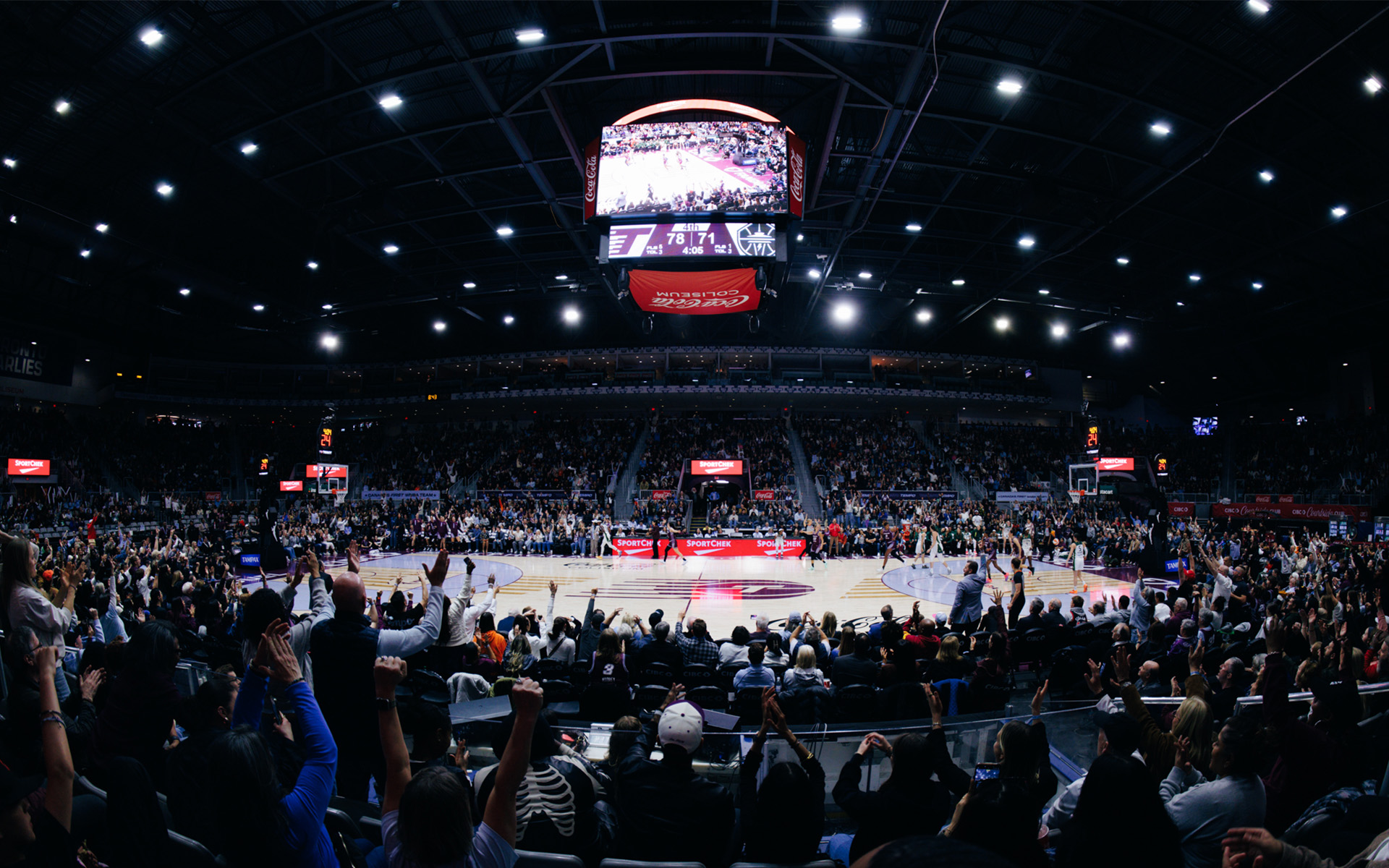 Watch the WNBA Photo courtesy of the Toronto Tempo