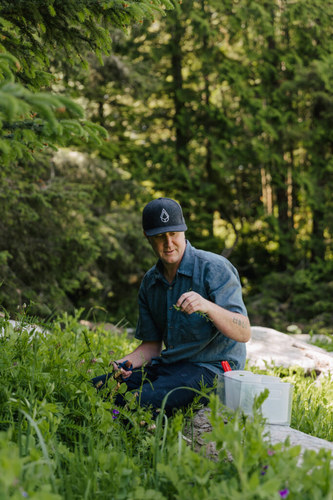 Pluvio - Jordyn Giesbrecht - Warren Foraging