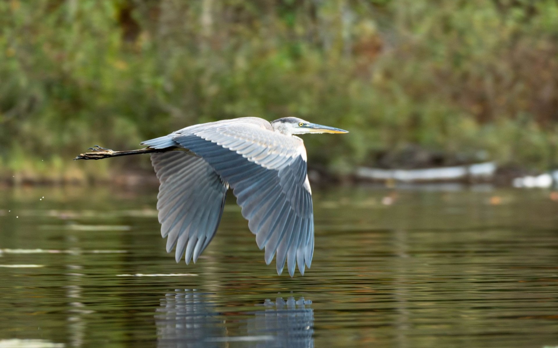 Muskoka Conservancy image 2