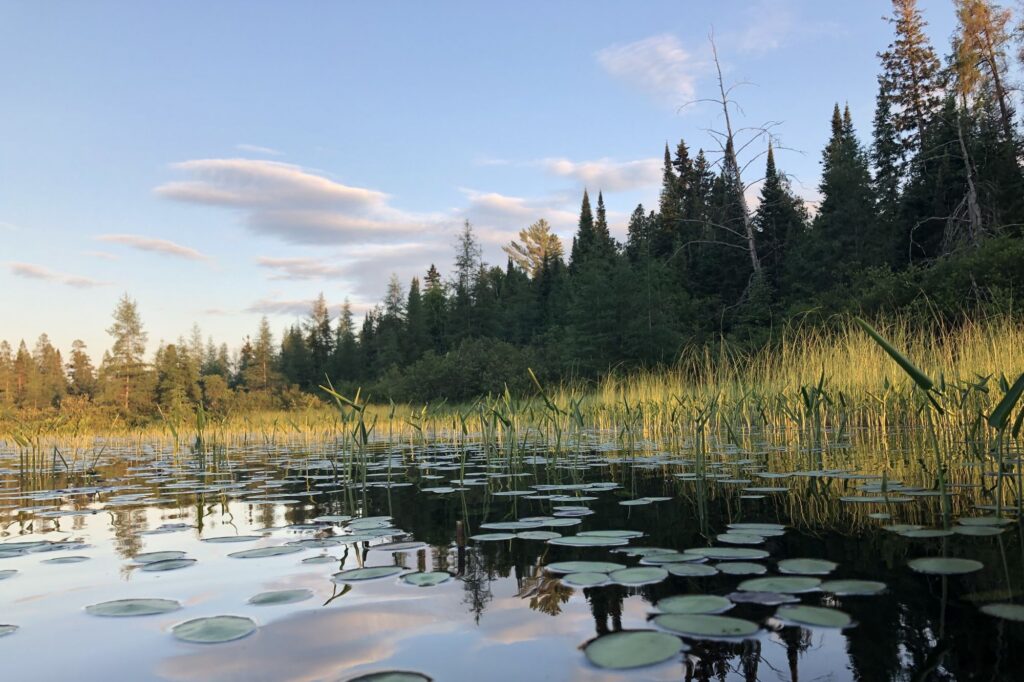 Muskoka Conservancy