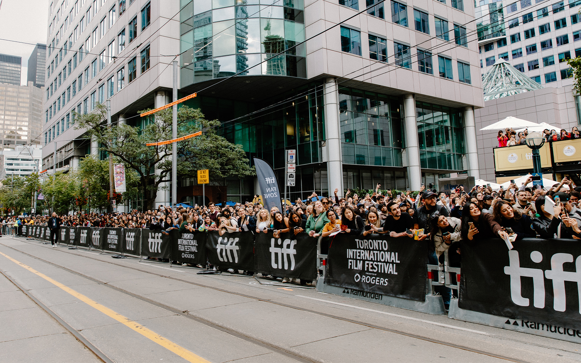 TIFF 2026. PHOTO BY SPRING MORRIS.
