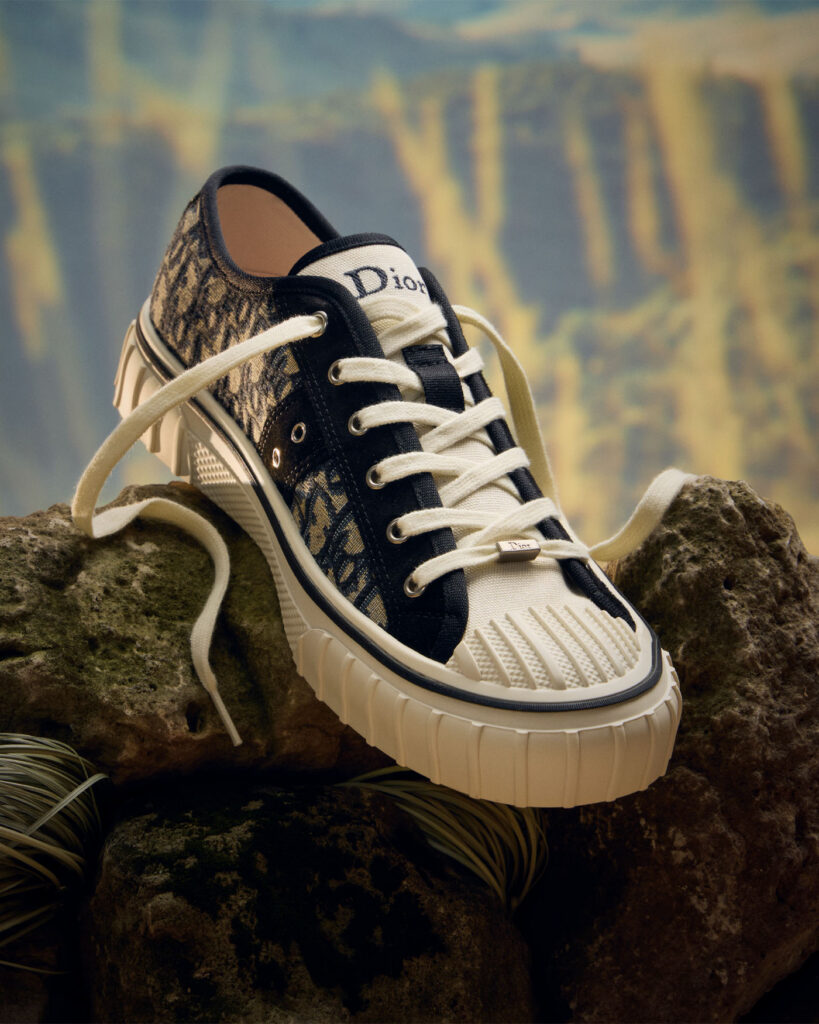 Hooper Low-Top Sneaker ($1,400) by Dior
